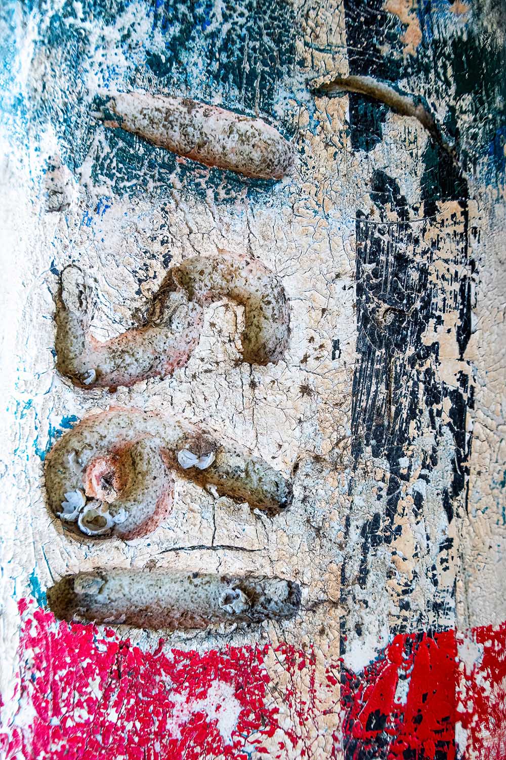 benjamin_williamson_lobster_buoys_as_art_003 Benjamin Williamson Fine Art Photography - Lobster Buoys as Art