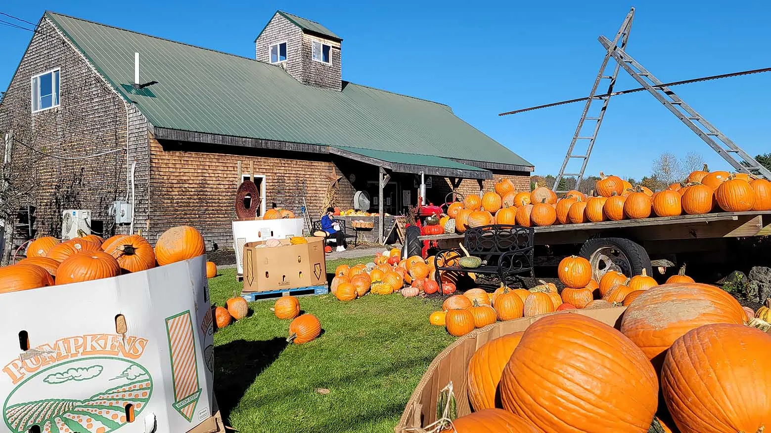 Charlene M. Taubert sitting among the pumpkins at Ricker Hill Orchards in Turner, Maine