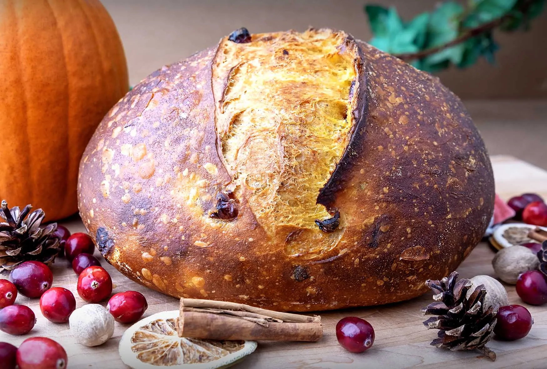 Pumpkin Sourdough Bread with Fresh Cranberries