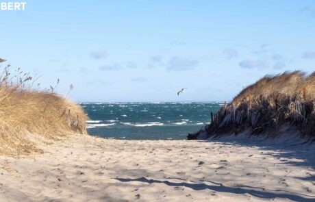whitecaps_final_sm_web A late-winter walk to Breakwater Beach in Brewster on Cape Cod