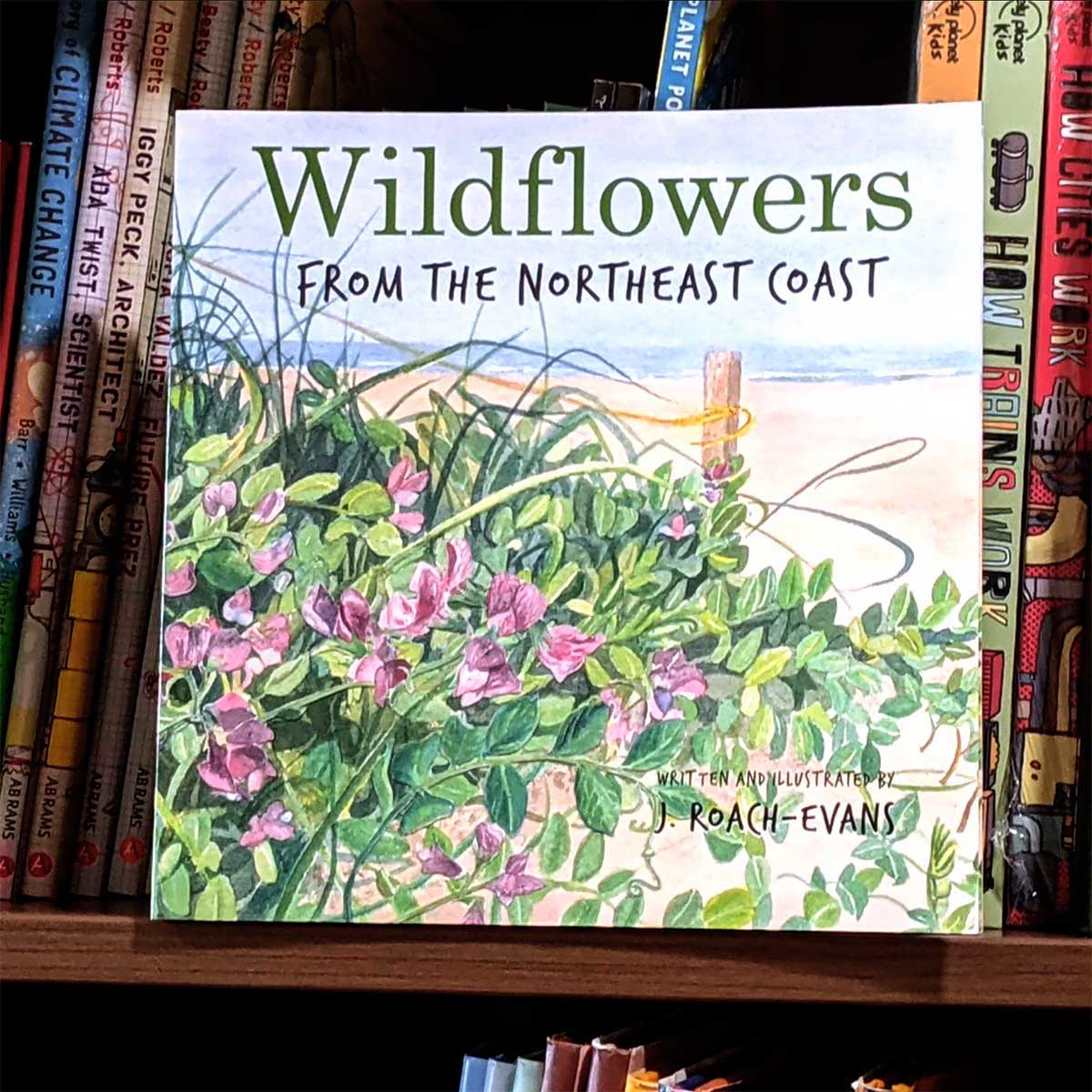 J. Roach Evans - Wildflowers from the Northeast Coast
