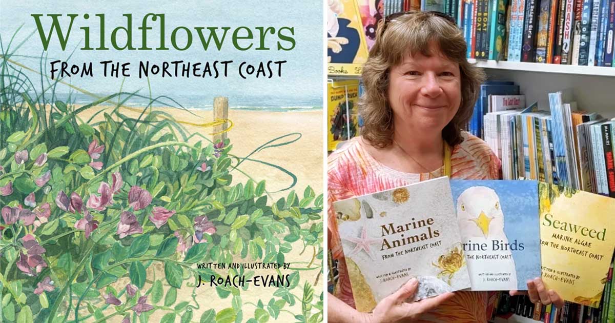 J. Roach Evans - Wildflowers from the Northeast Coast