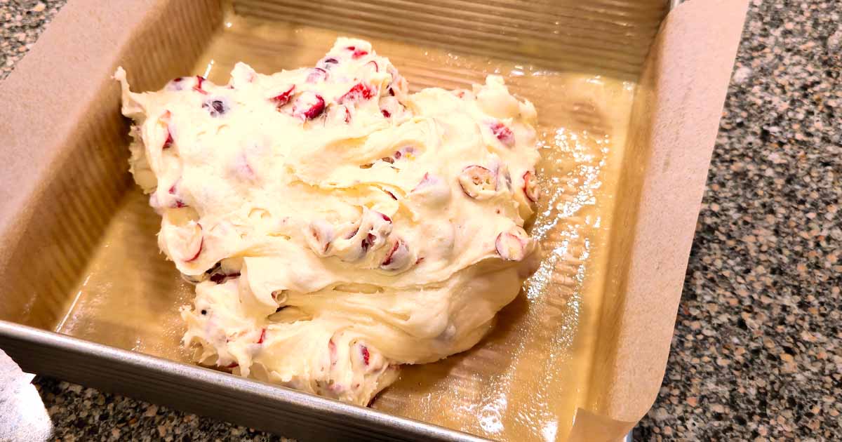 Cape Cod Cranberry Orange Breakfast Bread Dough
