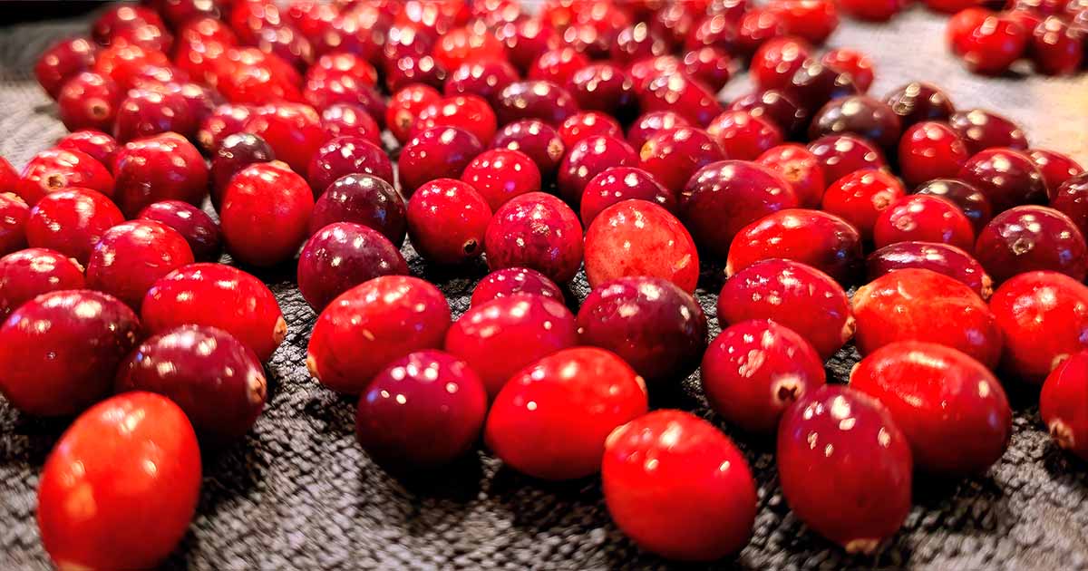 Cranberries for Cape Cod Cranberry Orange Breakfast Cake